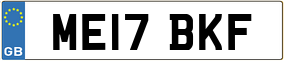 Trailer License Plate